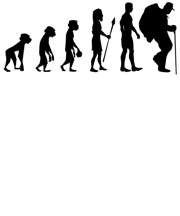 evolutionary line of man