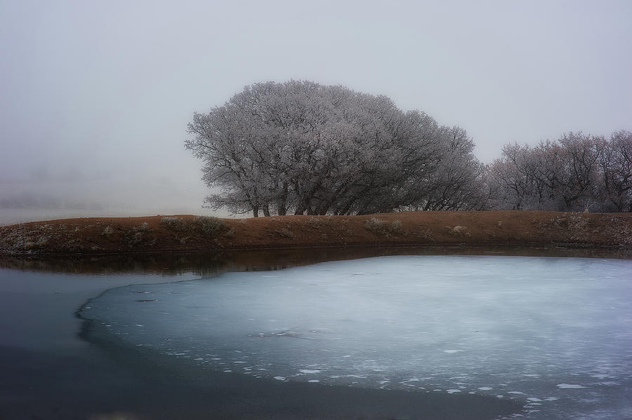 Hoar Frost #3 Photograph by Doug Wittrock