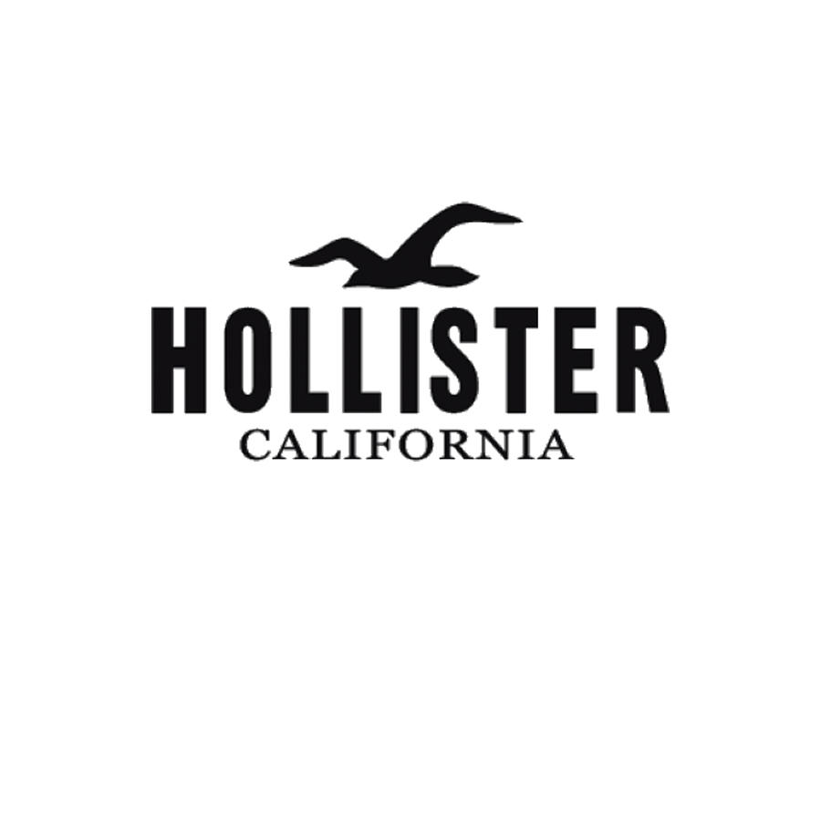 Hollister best premium designs logo Digital Art by Greens Shop - Fine ...