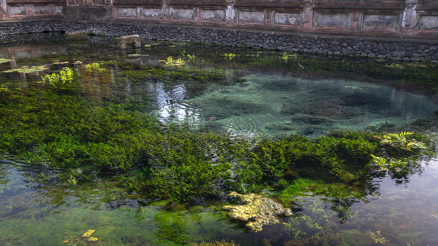Holy spring water in Bali #2 Photograph by Shaifulzamri