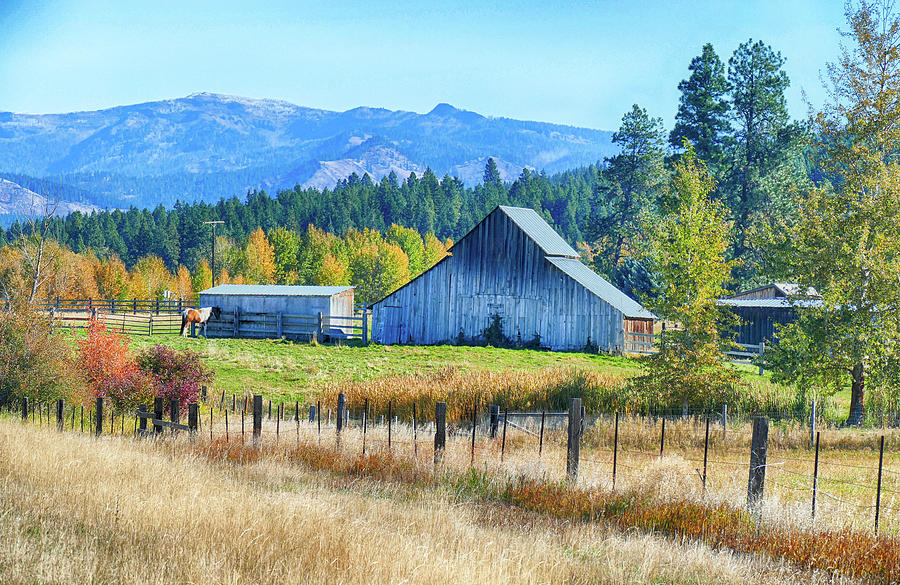 Horse and old barn in pasture along the Teanaway  #2 Photograph by Steve Estvanik