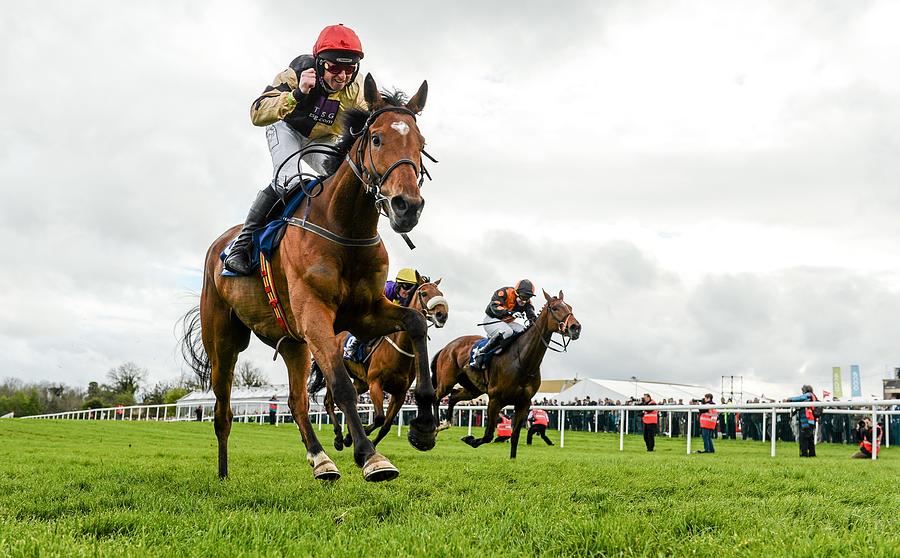 Horse Racing - Punchestown Festival #2 Photograph by Sportsfile