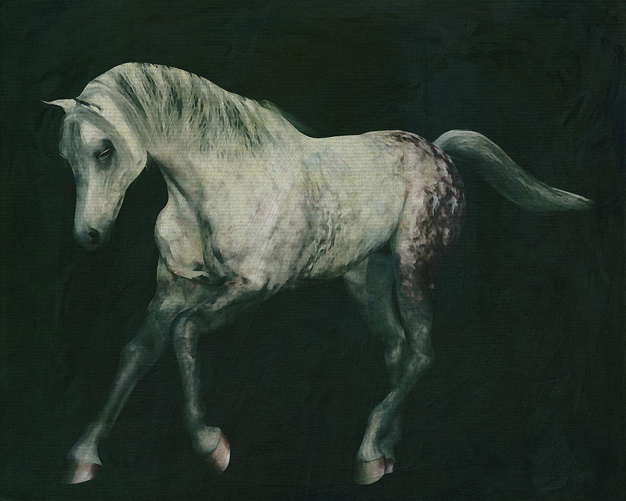 Horses -White horse doing dressage exercise #2 Painting by Jan Keteleer