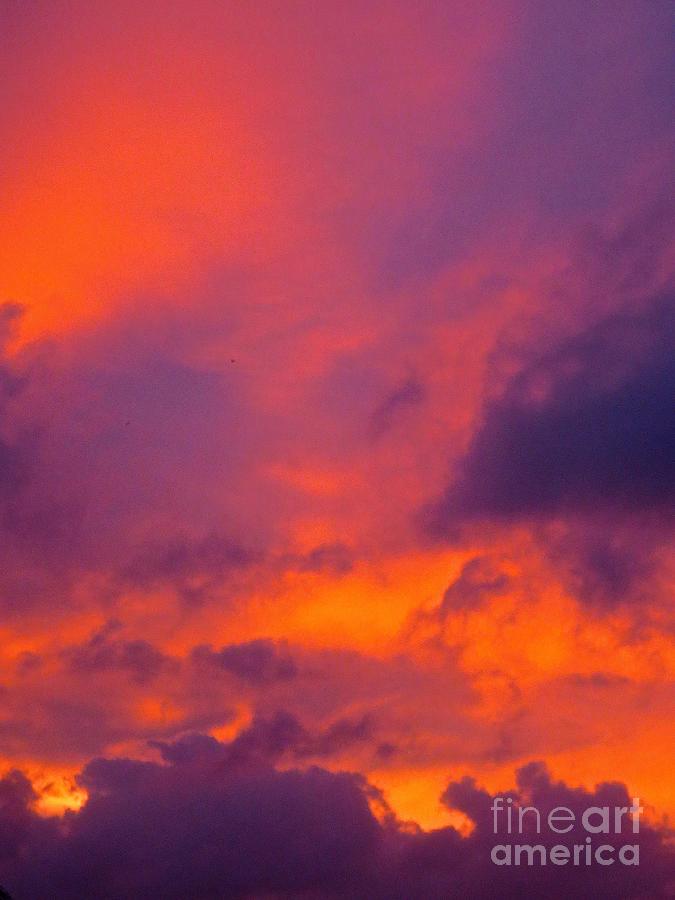 Hot Florida Sunset #2 Photograph by Robert Birkenes