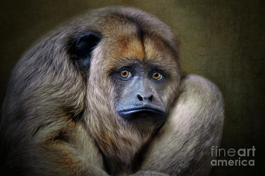 Howler Monkey #3 Digital Art by Savannah Gibbs
