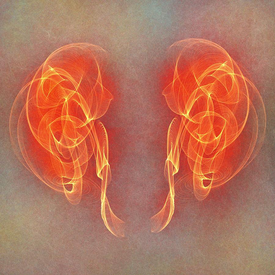 Human kidneys, illustration #2 Drawing by Mehau Kulyk/science Photo Library
