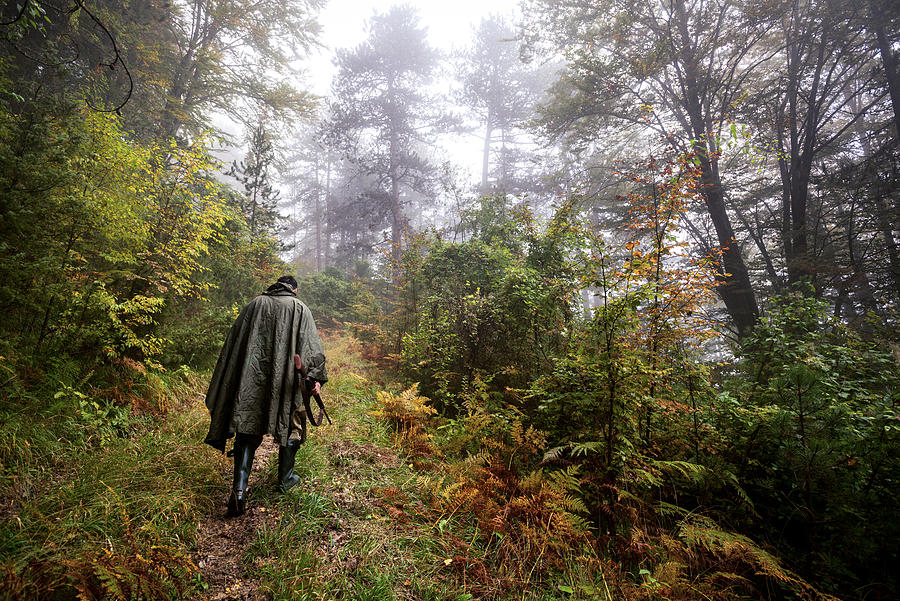 Hunter in the woods #2 Photograph by Predrag Vuckovic