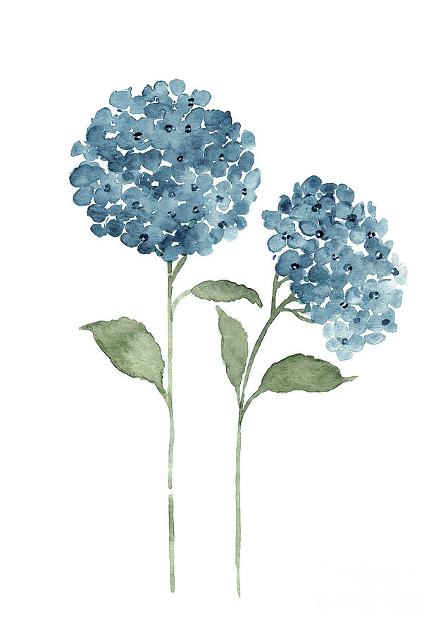 Hydrangea Blue Painting Painting by Joanna Szmerdt - Fine Art America