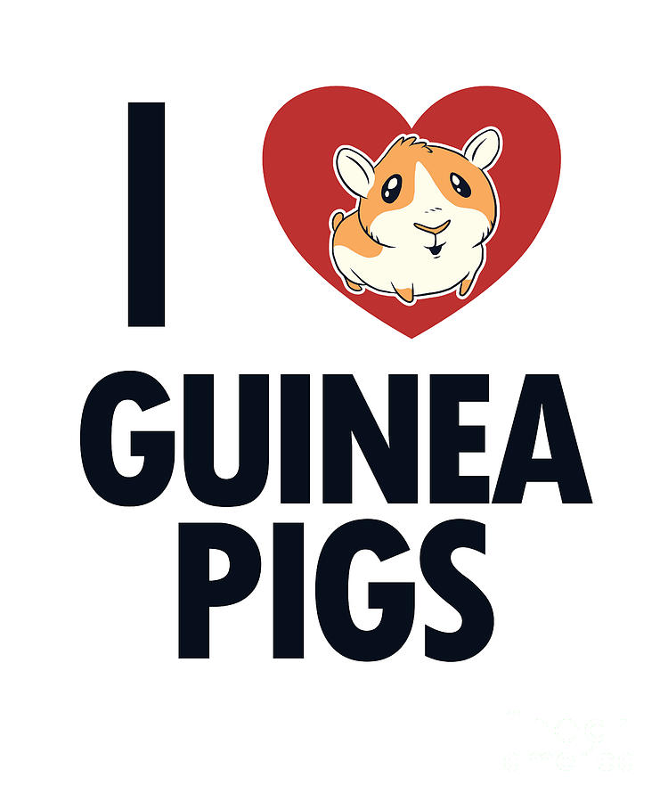 I love Guinea Pigs American Crested Long Hair Guinea Pigs Digital Art ...