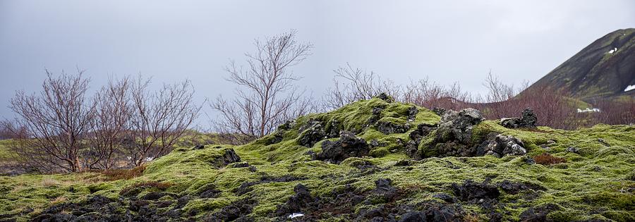 Icelandic nature #2 Photograph by Robert Grac