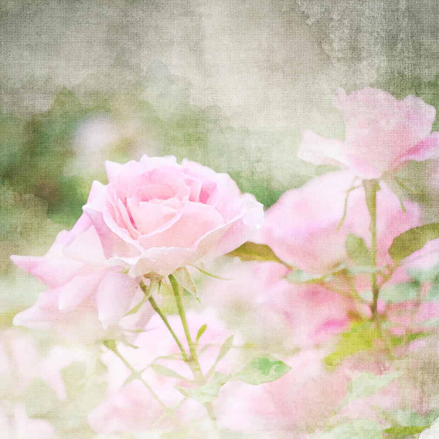 Imitation of the watercolor painting background #2 Photograph by Morgan_studio