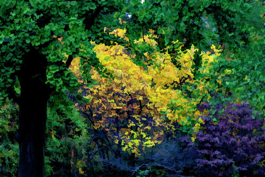 Impressionist Fall Foliage Photograph