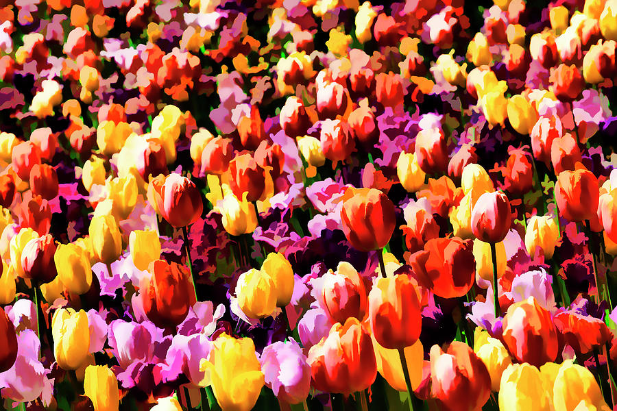 Impressionist Tulips Photograph