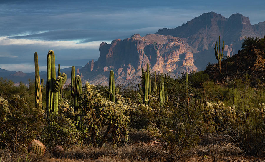 In The Shadow Of The Supes Photograph by Saija Lehtonen - Fine Art America