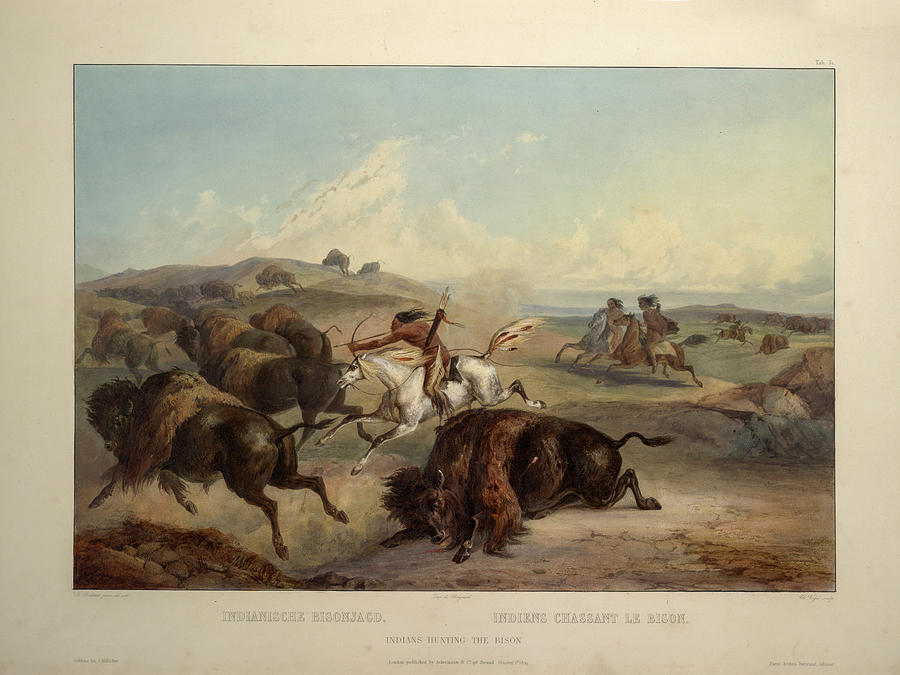 Indians hunting the bison #2 Drawing by Karl Bodmer Indians hunting the bison #2 Drawing by Karl Bodmer