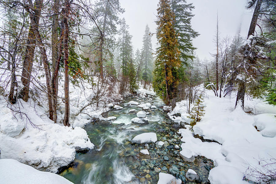 Ingalls Creek #2 Photograph by Richard Leighton - Fine Art America