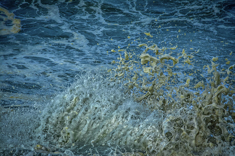 Intimate Splash #2 Photograph by Bill Posner