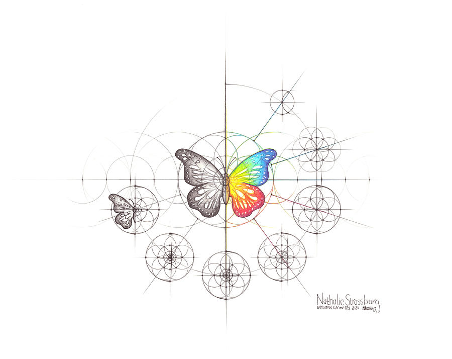 Intuitive Geometry Butterfly #2 Drawing by Nathalie Strassburg
