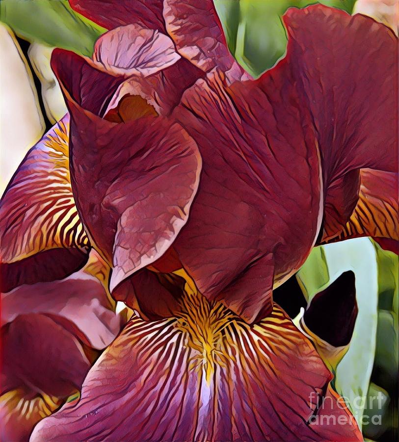 Iris #5 Painting by Marilyn Smith