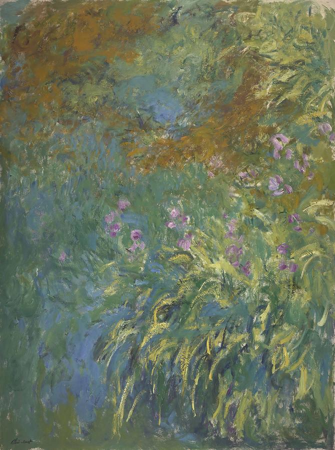Claude Monet Painting - Irises by the Pond  #2 by Claude Monet