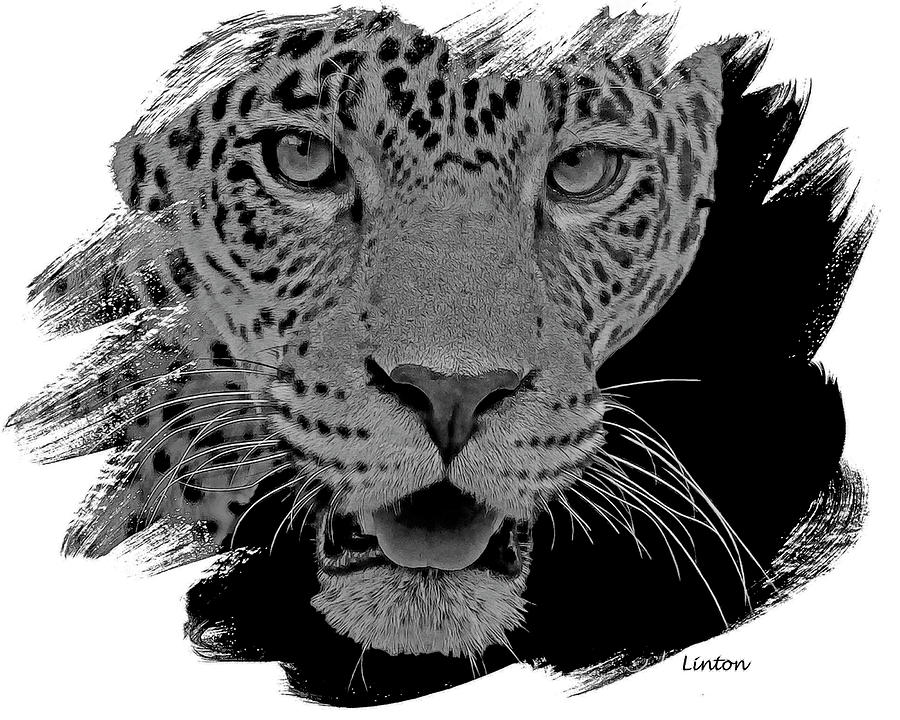 Cat Digital Art - Jaguar #2 by Larry Linton