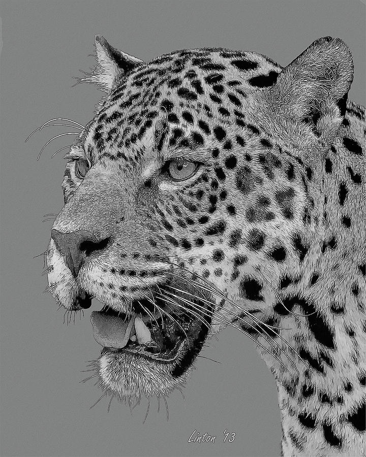 Jaguar Portrait  #2 Digital Art by Larry Linton