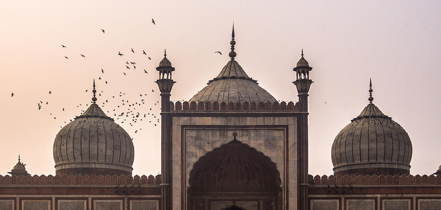 Jama Masjid | Delhi | India #2 Photograph by (c) HADI ZAHER