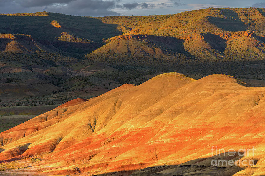 John Day Fossil Beds National Monument, Oregon #2 Photograph by Henk Meijer Photography