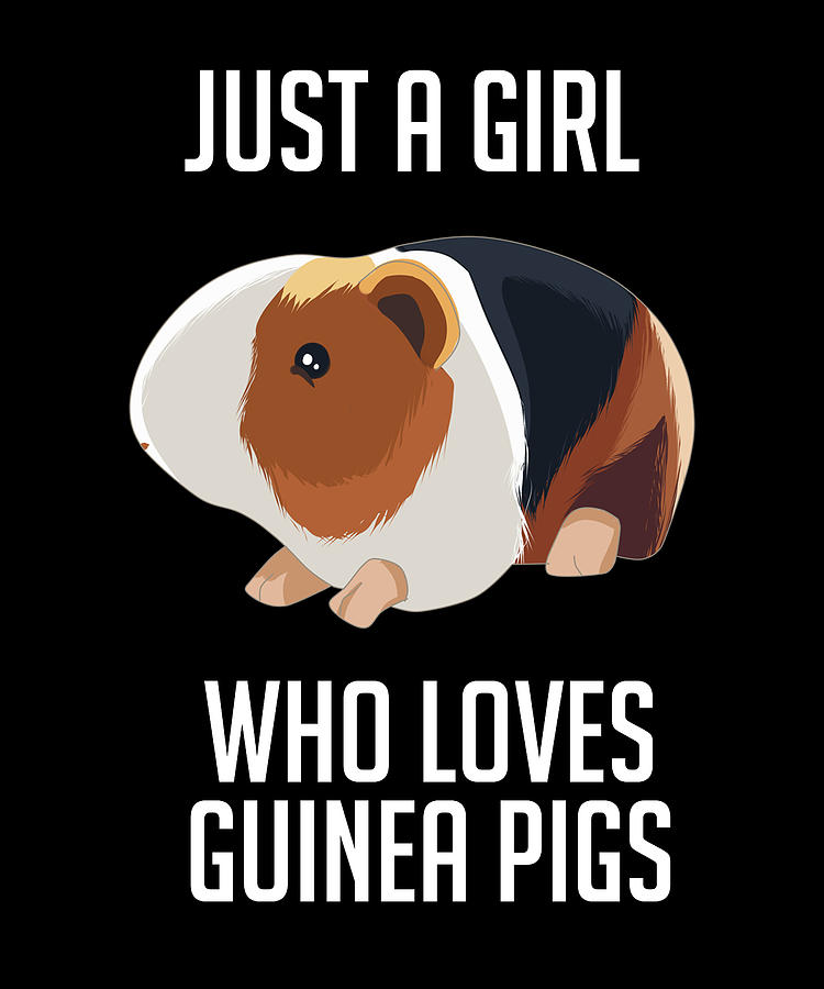 Just A Girl Who Loves Guinea Pigs Digital Art by Cynto - Fine Art America