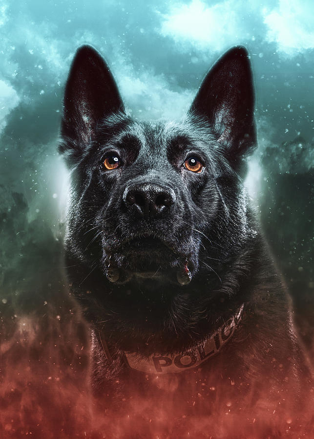 K9 Morpheus - Shelby Township PD #2 Digital Art by Lifework Productions