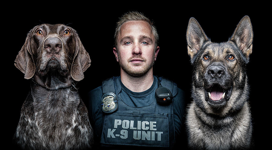 K9 Wolverine and K9 Bruno - Wayne State University PD Poster by Lifework  Productions - Fine Art America