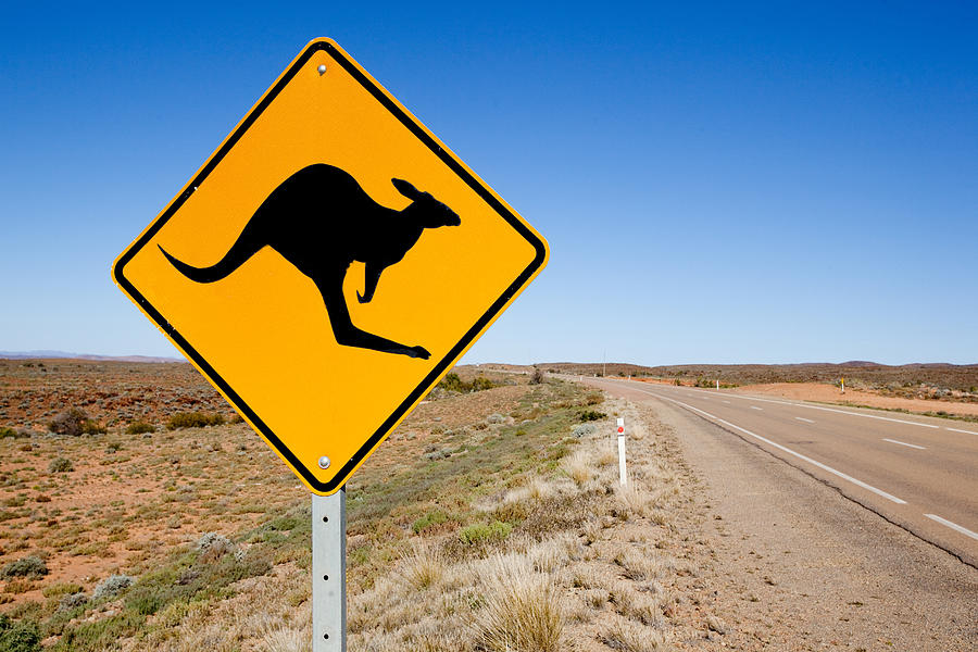 Kangaroo warning sign. Australia. #2 Photograph by John White Photos