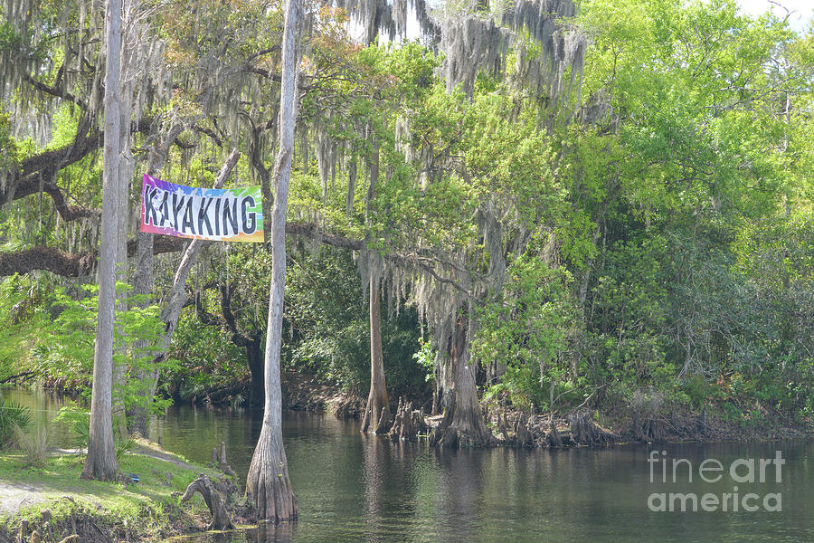 Shingle Creek Regional Park