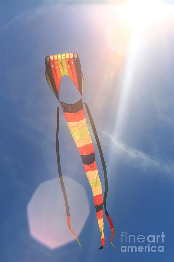 Kite in the sun glare Photograph by Douglas Sacha - Fine Art America