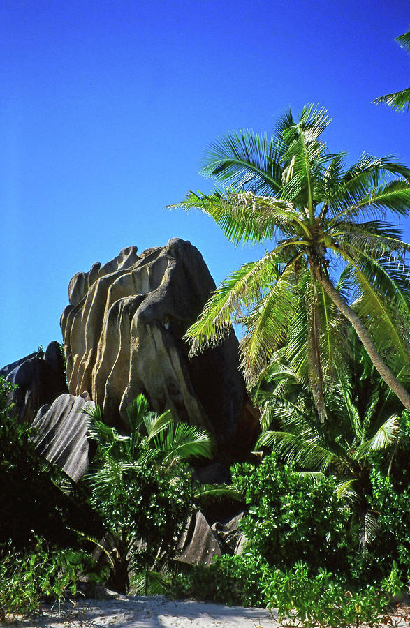 La Digue Island - Seychelles #2 Photograph by Juergen Weiss