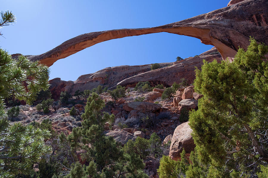 Landscape Arch in Arches National Park #2 Photograph by David L Moore