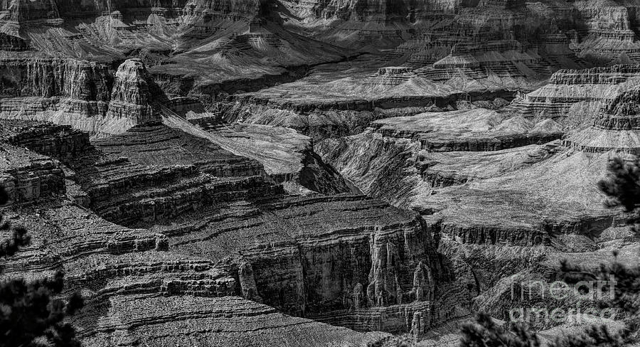 Landscape Grand Canyon #2 Photograph by Chuck Kuhn