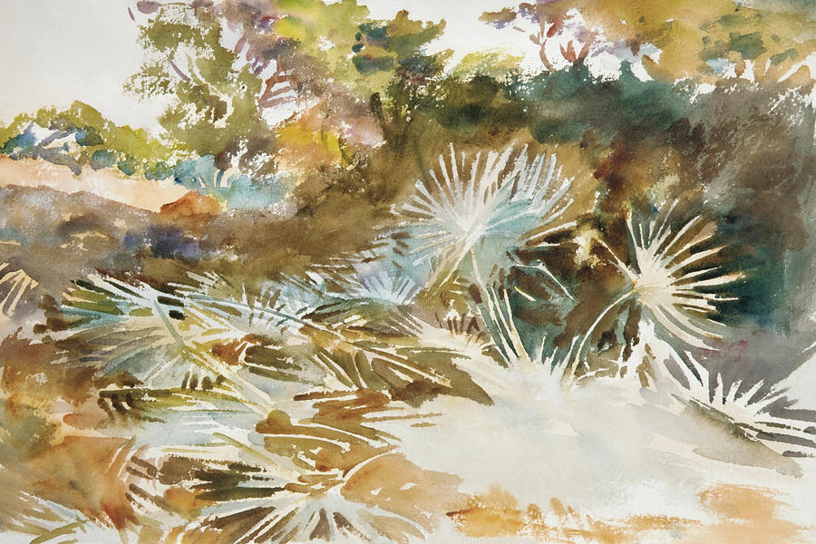 John Singer Sargent Painting - Landscape with Palmettos #4 by John Singer Sargent