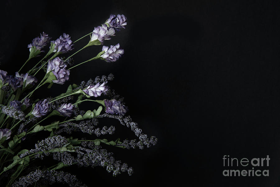 Lavender  #2 Photograph by Juli Scalzi