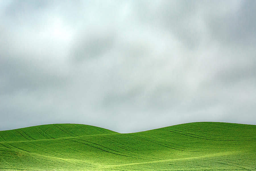 Nature Photograph - Layers of Green #2 by Todd Klassy