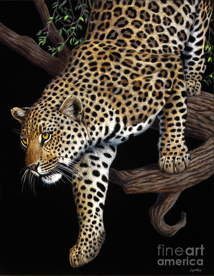 Leopard Scratch Board #2 Painting by Cynthie Fisher