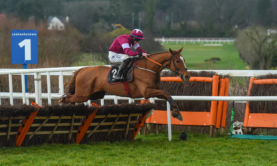 Leopardstown Races - Sunday #2 Photograph by David Fitzgerald