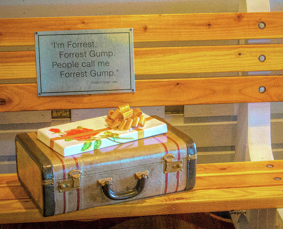 Life Was Like A Box Of Chocolates Forrest Gump #2 Photograph by Barbara Snyder