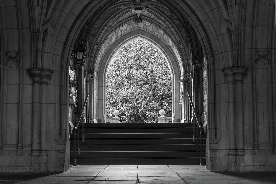 Light and Shadows Photograph by Kristopher Schoenleber Light and Shadows Photograph by Kristopher Schoenleber