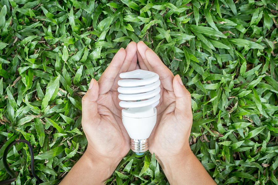 Light bulb in hand with energy saving eco lamp #2 Photograph by Arto_canon