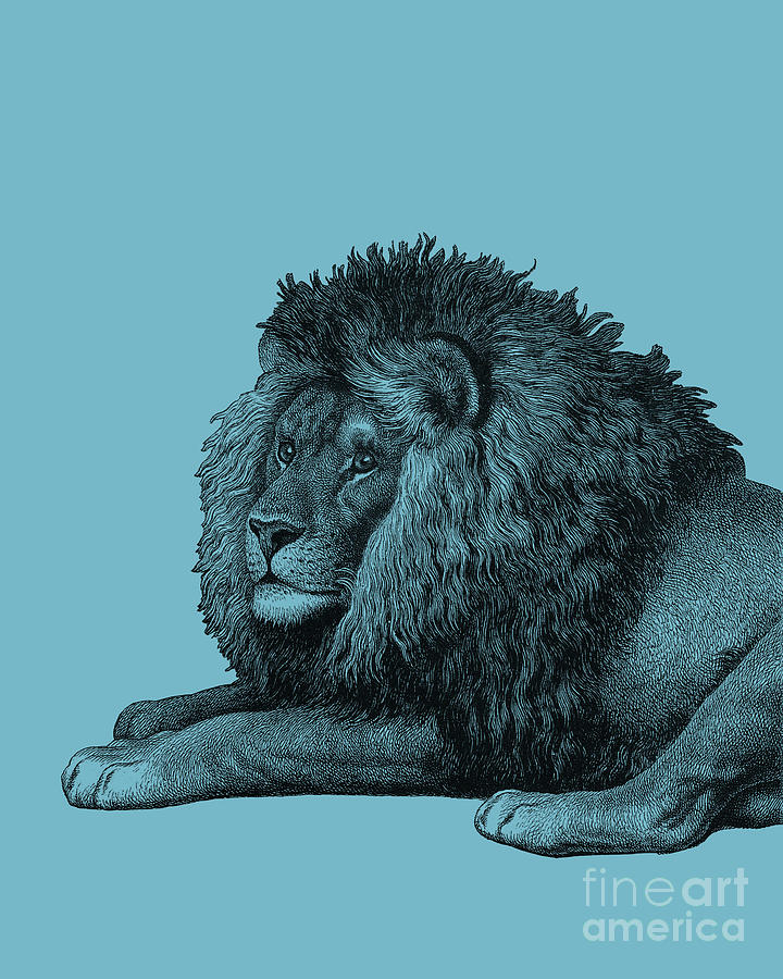 Lion Digital Art - Lion Resting #2 by Madame Memento