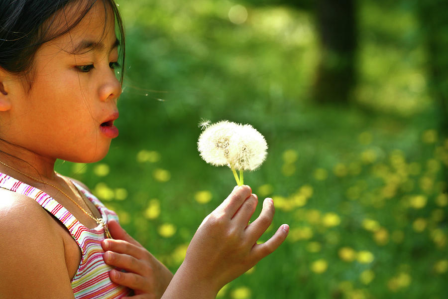 Little Girl Blowing A Dandelion Photograph