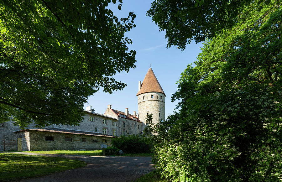 Loewenschede Torn tower in Tallinn, Estonia Photograph by Sergio Delle
