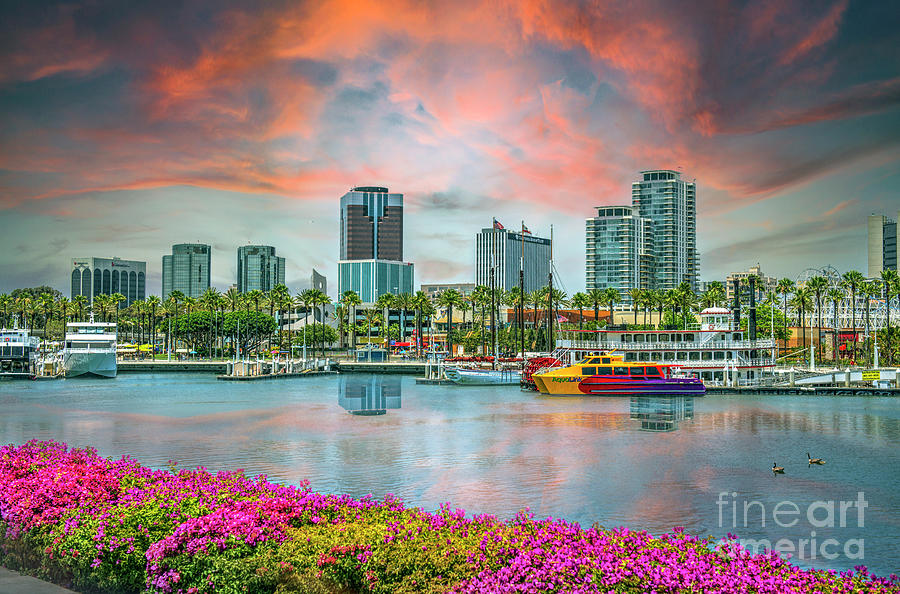 Long Beach Skyline Cityscape Photograph by David Zanzinger