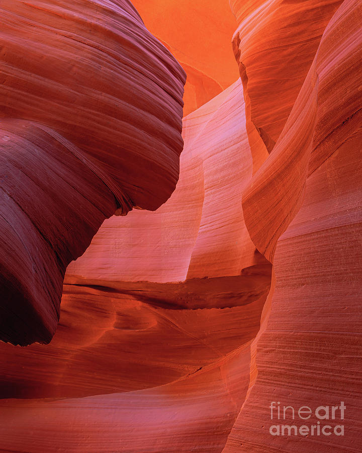 Antelope Canyon Photograph - Lower Antelope Canyon #2 by Henk Meijer Photography